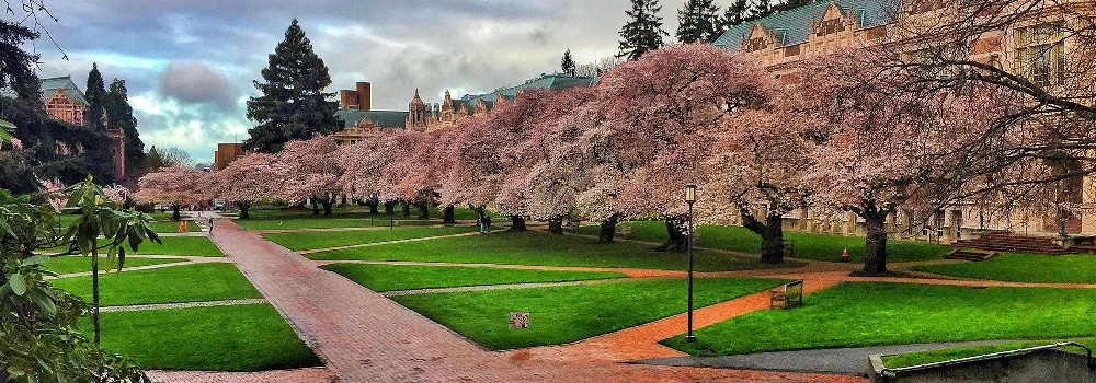 Universidad de Washington, Seattle